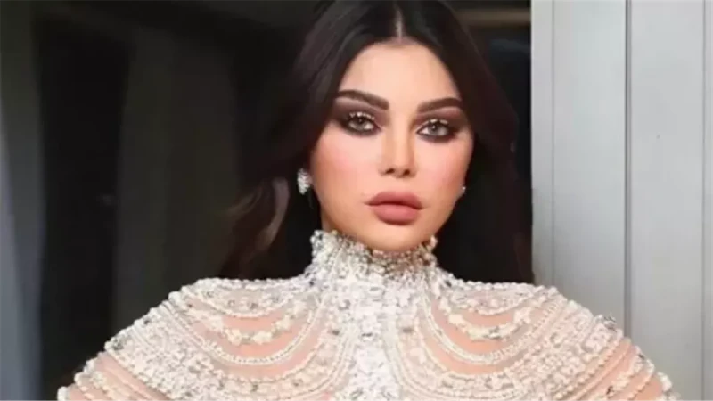 دعوى قضائية من هيفاء وهبي بسبب إعادة نشر فيديوهات دون إذن