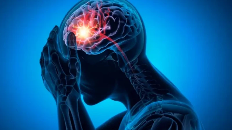 أغشية خلايا الإنسان تعمل كمولدات طاقة، دراسة حديثة تلهم العلماء لابتكار جديد