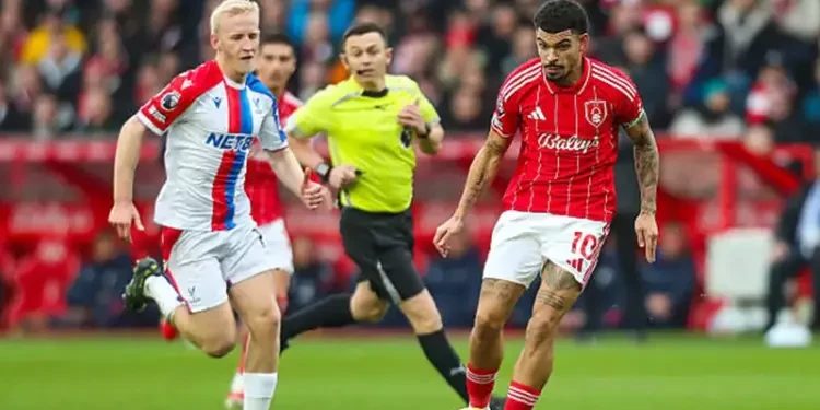 تعادل نوتنجهام فورست وكريستال بالاس بالدوري الإنجليزي