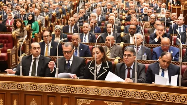 إحالة تقارير اللجان النوعية بـ"الشيوخ" إلى الحكومة لتنفيذ التوصيات