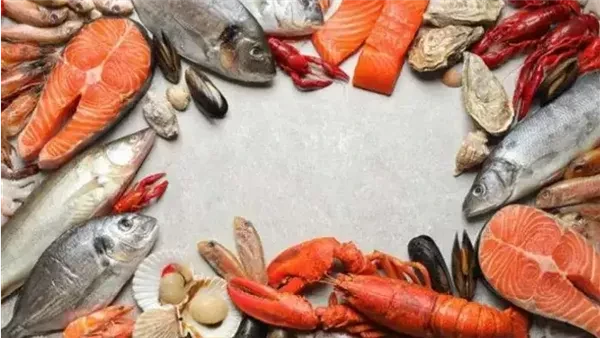 أسعار الأسماك والجمبري اليوم الجمعة 27 فبراير 2026