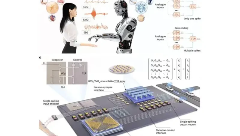 تقنية مستوحاة من الدماغ تُمكّن الذكاء الاصطناعي من العمل بطاقة أقلّ وسرعة أعلى