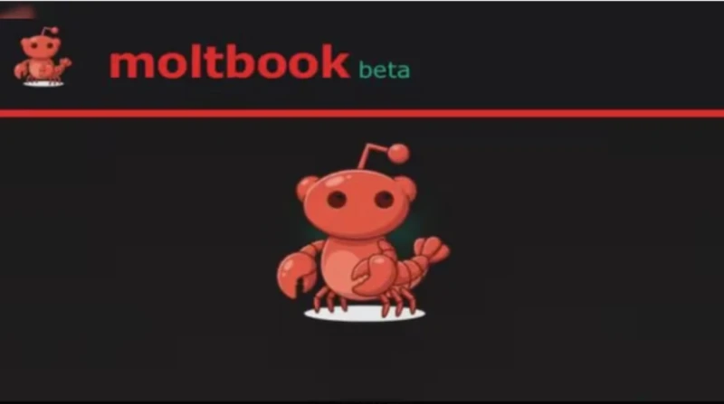 تطبيق “مولتبوك” للتواصل الاجتماعي، منصة روبوتات تثير قلق إيلون ماسك