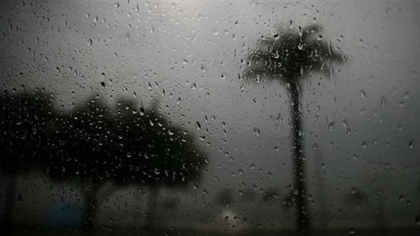 حالة الطقس: انخفاض درجات الحرارة وأمطار الأسبوع المقبل على عدد من المناطق