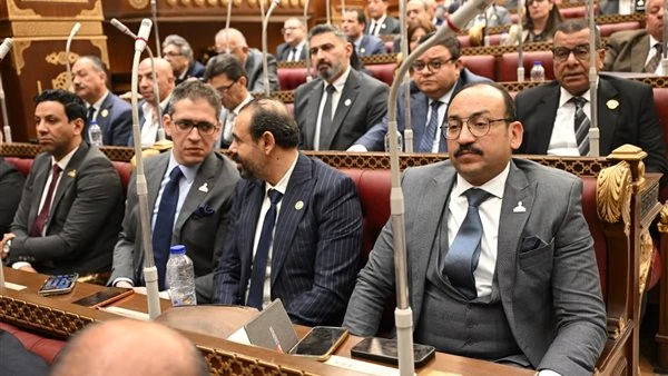 عبد العاطي أحمد: قانون حماية الأطفال على الإنترنت خطوة ضرورية لمواكبة العصر