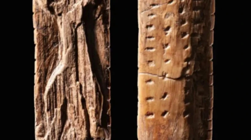 أقدم من الفراعنة. نظام بدائي يشير إلى أن تاريخ "الكتابة" بدأ قبل 40 ألف عام