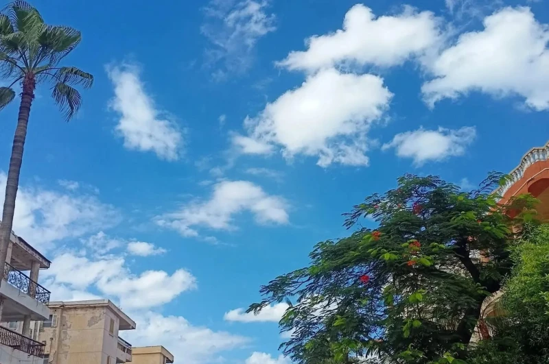 حالة الطقس غداً الخميس 26 فبراير 2026. أجواء باردة صباحًا واضطراب بالملاحة في البحر الأحمر