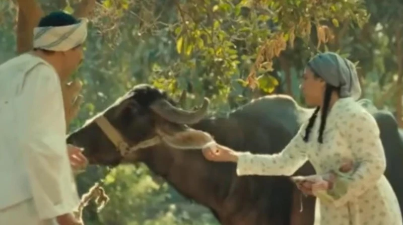 في يوم المراة العالمي. كيف تكونين السند لزوجك على خطى عائشة في "النص التاني"