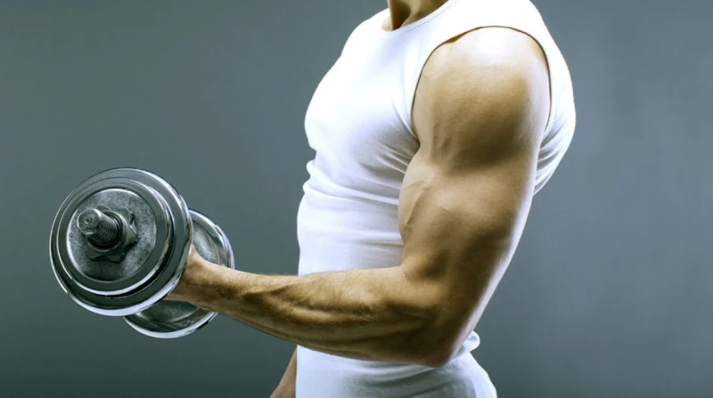 ليست الرياضة وحدها. ميكروب يساهم في تقوية العضلات بدون مجهود