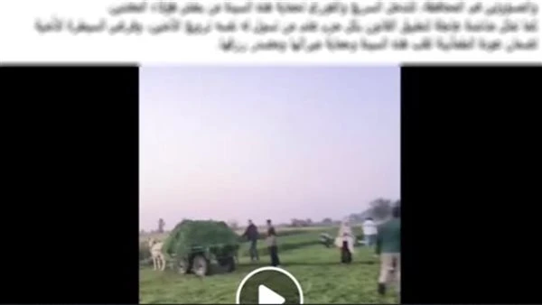 الحقيقة الكاملة.. خلاف على أرض زراعية وراء فيديو «سرقة محصول» بالدقهلية