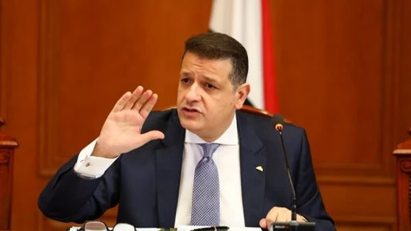 حقوق الإنسان بـ"النواب": المرأة المصرية عنصر فاعل في دعم مسيرة التنمية الوطنية