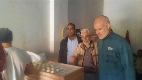 القليوبية تضرب بيد من حديد.. ضبط مخالفات الوزن والأسعار قبل العيد