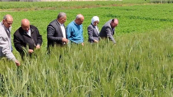 «الزراعة» تتابع انتظام صرف الأسمدة ببني سويف