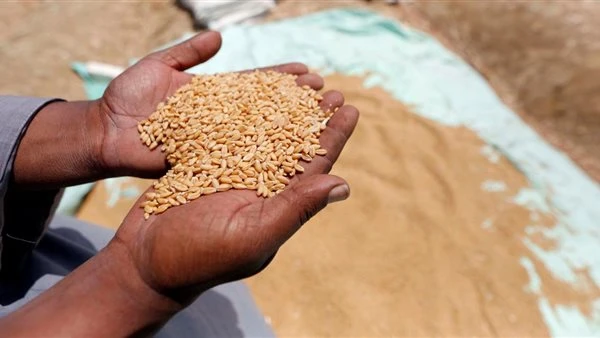 رغيف الخبز والسلع الأساسية خط أحمر.. خطة الحكومة لتأمين الغذاء في ظل الحرب