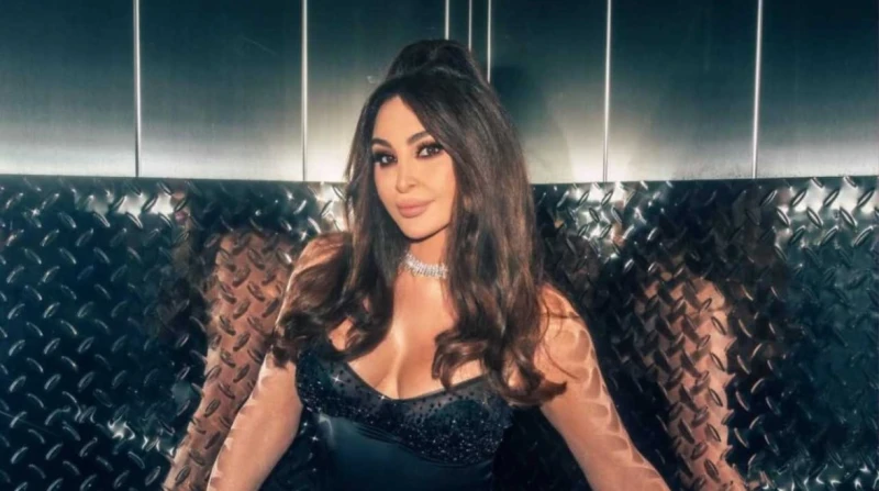 إليسا تثير الجدل بعد غضبها من المخيمات العشوائية بشوارع لبنان