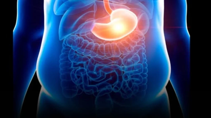 هل ينتهي عصر الرجيم؟. اكتشاف جديد يساعد الجسم على حرق الدهون تلقائيًا