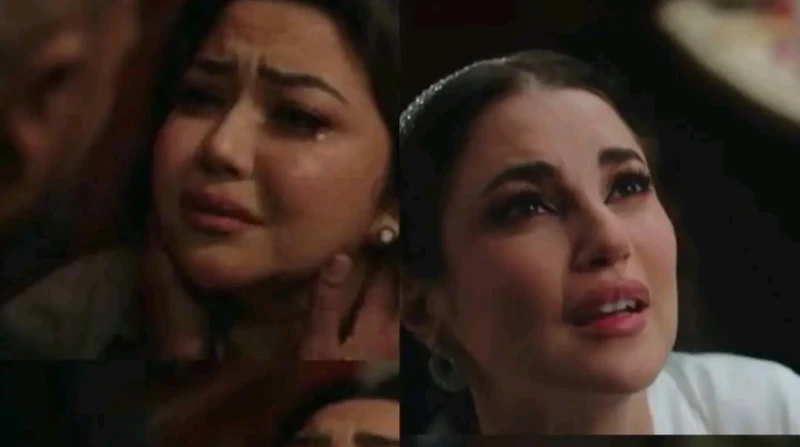 بين التضحية والسيطرة. هل قدم مسلسل "علي كلاي" نموذجا ساما للحب