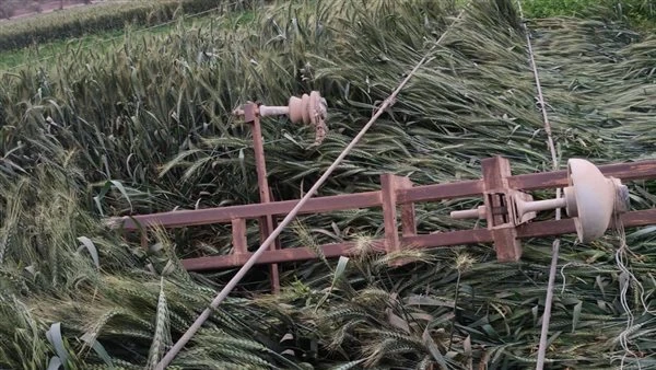 رياح شديدة تضرب سوهاج وتتسبب في سقوط أشجار وأعمدة كهرباء دون خسائر