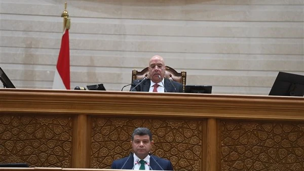 انطلاق الجلسة العامة لـ"النواب" لمناقشة اتفاقيات دولية