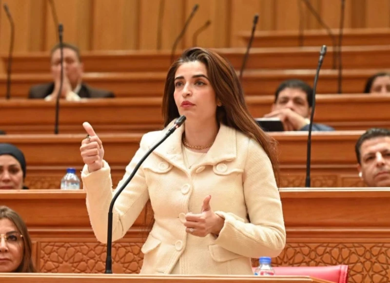 النائبة إيرين سعيد ترفض قروض النقل: كفاية قروض على المصريين. هنسد منين؟