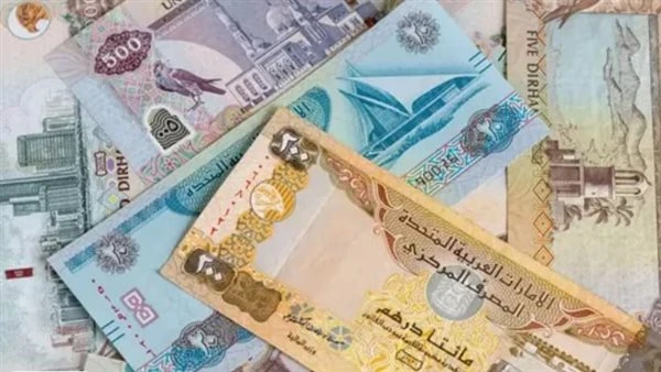 ارتفاع جديد في سعر الدرهم الإماراتي أمام الجنيه المصري اليوم الأحد