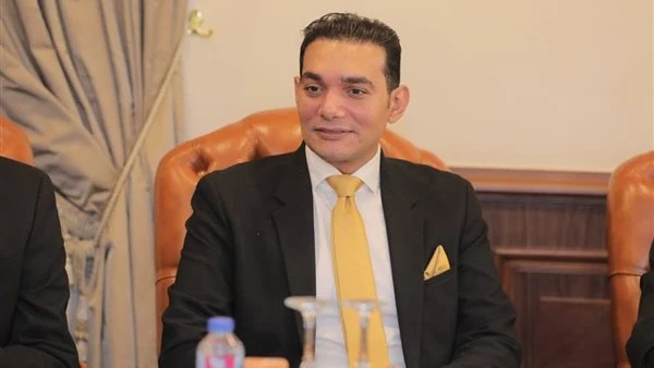 أمين سر لجنة الشباب بالشيوخ: مصر تتحرك بحكمة لتجنيب المنطقة ويلات الصراعات