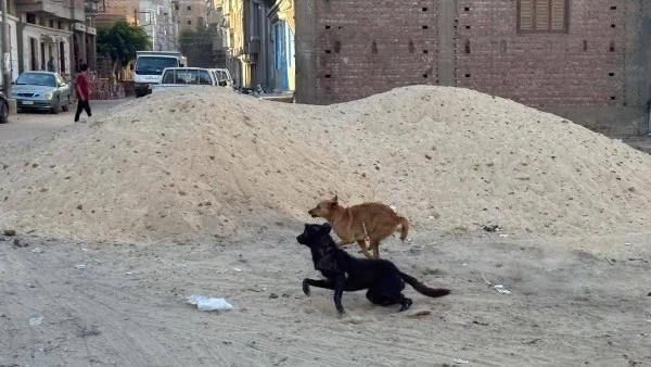 مراد مكرم يعلق علي واقعة تفاصيل