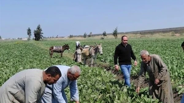 وزير الزراعة يتابع تقارير غرف العمليات وسير العمل الميداني في أول أيام العيد