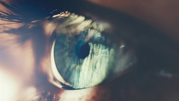 تقنية مبتكرة من قشور الأسماك لعلاج تلف قرنية العين