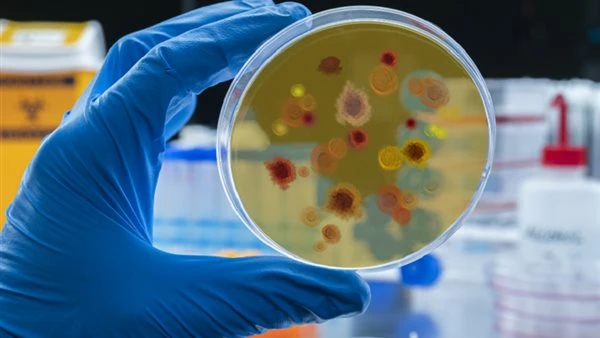 لقاح مبتكر ضد الملاريا يحقق نتائج أولية واعدة في التجارب العلمية