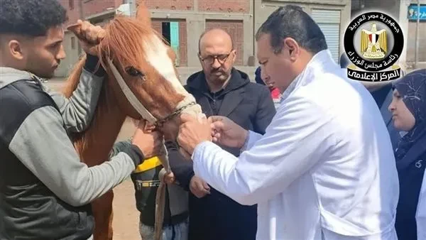 دعم غير مسبوق للمربين.. ما الذي قدمته القوافل البيطرية في 506 قرى؟