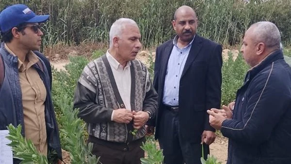 "الزراعة" تتابع برامج إنتاج التقاوي والمحاصيل الإستراتيجية بمحطة النوبارية
