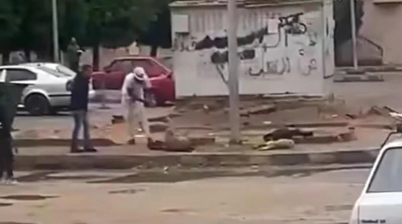 المطر يفتح أبواب الرحمة. مشاهد مؤثرة لإنقاذ الحيوانات من الصعق