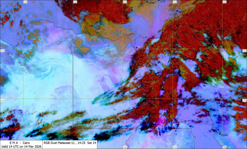 الأرصاد تحذر من تقلبات الطقس في مصر. شبورة وأمطار ورياح تضرب هذه المناطق حتى الخميس