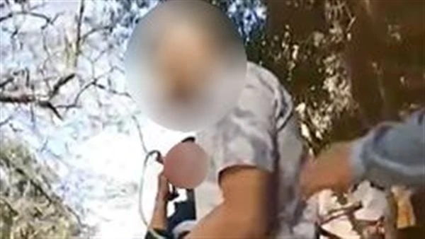 التحقيق مع مؤجر خيول بتهمة النصب على 3 أشخاص بمنطقة الأهرام