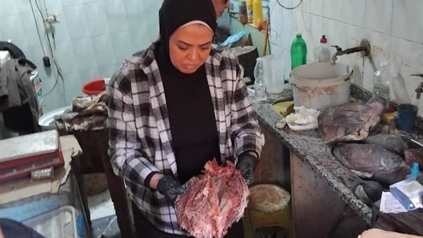 حملات بيطرية مكثفة بالمنيا تضبط 177 كجم لحوم وأسماك فاسدة