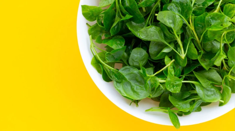 الجرجير يحصد لقب "أكثر الخضراوات صحة في العالم". من ينبغي عليه تجنبه