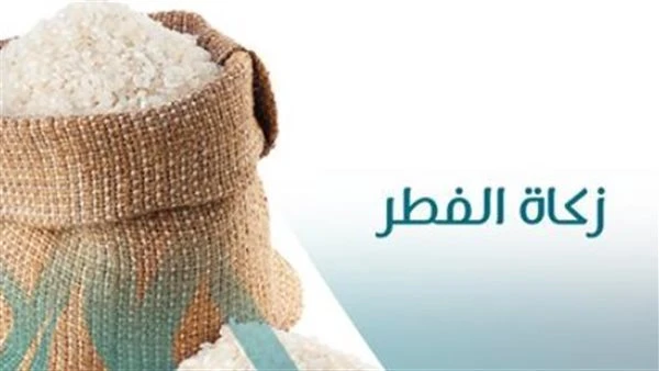 في 15 نقطة.. دار الإفتاء توضح أهم أحكام زكاة المال وشروط وجوبها ومصارفها