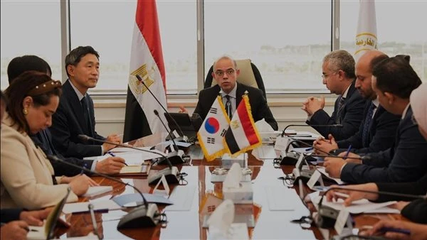 مصر وكوريا الجنوبية تبحثان آفاقًا جديدة للاستثمار.. تحركات لتعزيز الشراكة الاقتصادية