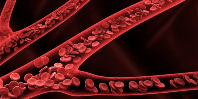 حقائق مهمة عن الكوليسترول وأمراض القلب