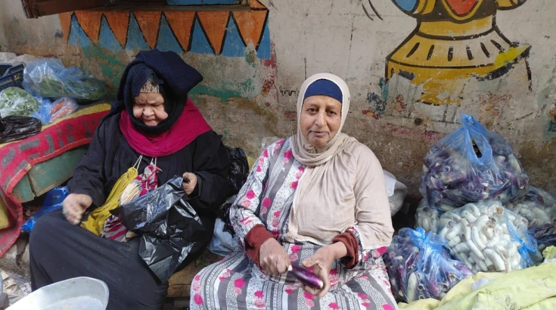 320 كيلو محشي. الباذنجان بطل مائدة إفطار المطرية بأيد أم سامح وأم شحتة (خاص)