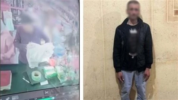 «مقطع فيديو يكشف السرقة».. ضبط عاطل بالدقهلية لسرقته هاتفين من محل تجاري