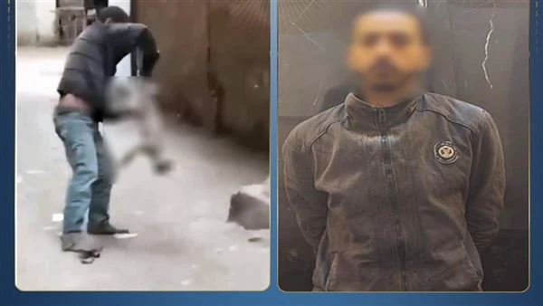 الداخلية تكشف تفاصيل القبض على المتعدى على قطة في القليوبية