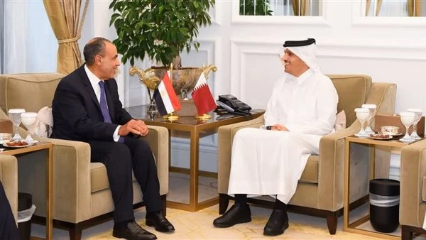 وزير الخارجية يبحث مع نظيره القطري التصعيد العسكري في المنطقة