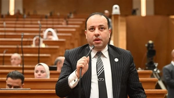 نائب: ارتفاع الاحتياطي النقدي ومخزون السلع رسالة طمأنة بقوة الاقتصاد المصري