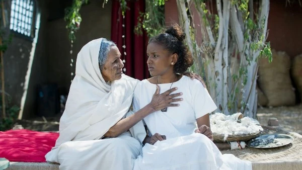 6 طرح فيلم "ملكة القطن" للمخرجة سوزانا ميرغني بدور العرض المصرية