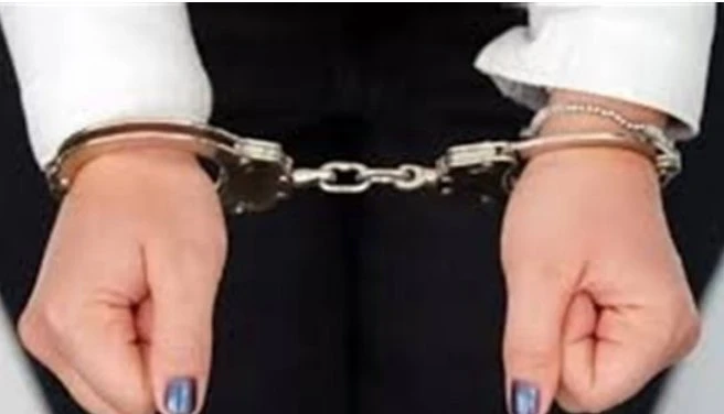 صاحبة جمعية خيريه عايزة الجلد: هبشت 10 مليون جنيه