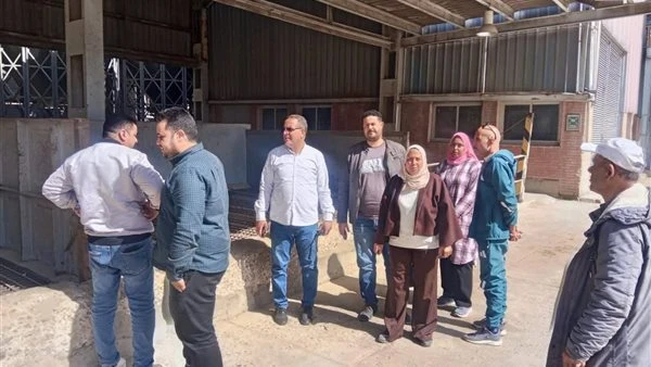 محافظ الدقهلية يعلن بدء موسم حصاد القمح 2026 وتجهيز 36 موقعًا للتوريد