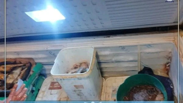 ضبط 350 كيلو أسماك مملحة غير صالحة خلال حملات على أسواق الإسكندرية