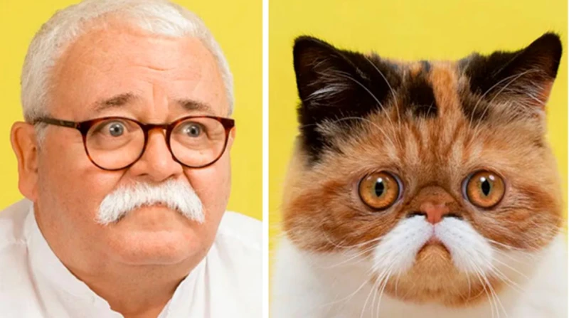 "طلعنا قرايب". عالم روسي يكشف سر التشابه الجيني بين البشر والقطط